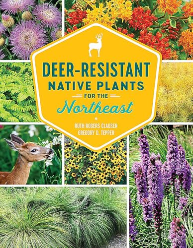 Deer-Resistant Native Plants for the Northeast