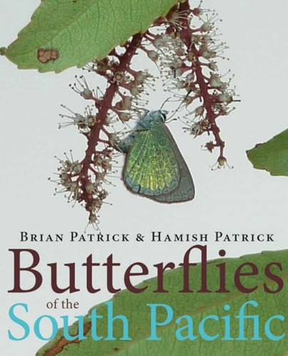BUTTERFLIES OF SOUTH PACIFIC