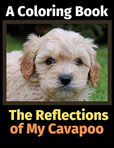 The Reflections of My Cavapoo: A Coloring Book
