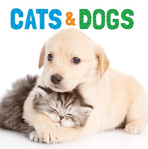 Cats and Dogs [Board book]