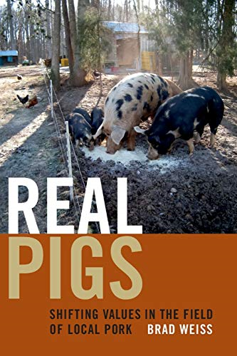 Real Pigs
