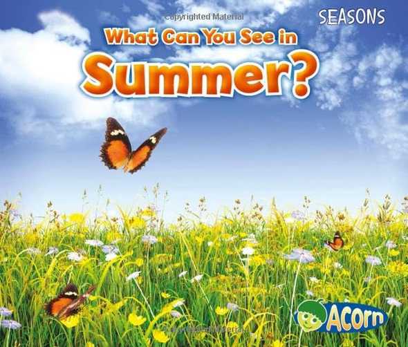What Can You See in Summer? (Seasons (Heinemann))