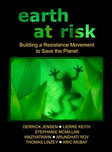 Earth at Risk (Flashpoint Press)