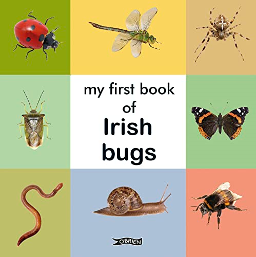 My First Book of Irish Bugs (First Steps)
