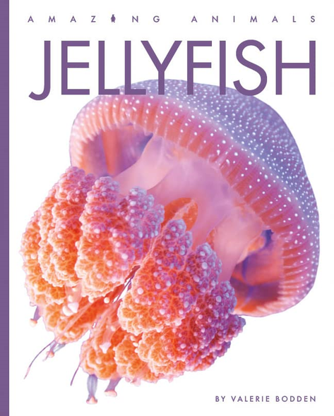 Jellyfish (Amazing Animals)