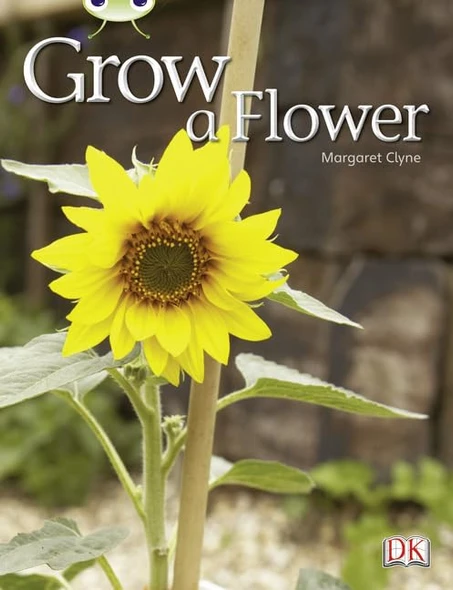 Grow a Flower (Red C) (BUG CLUB)