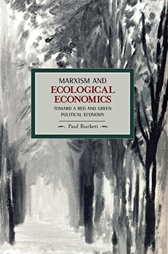 Marxism and Ecological Economics (Historical Materialism Book)