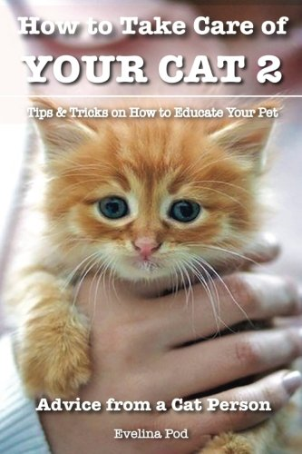 How to Take Care of Your Cat 2: Tips & Tricks on How to Educate Your Pet (How to Take Care of Your Cat)