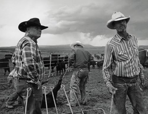Open Range: America's Big-Outfit Cowboy