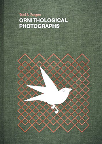 Todd Forsgren - Ornithological Photographs