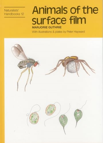 Animals of the Surface Film (Naturalists' Handbook)