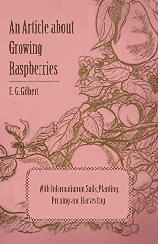 An Article About Growing Raspberries with Information on Soils, Planting, Pruning and Harvesting