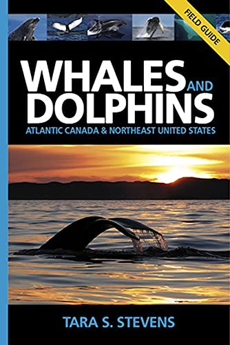 Whales and Dolphins of Atlantic Canada & Northeast United States: Field Guide