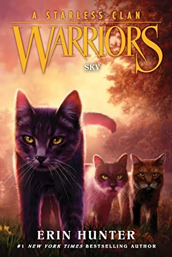 Warriors: A Starless Clan #2: Sky (Warriors: A Starless Clan)
