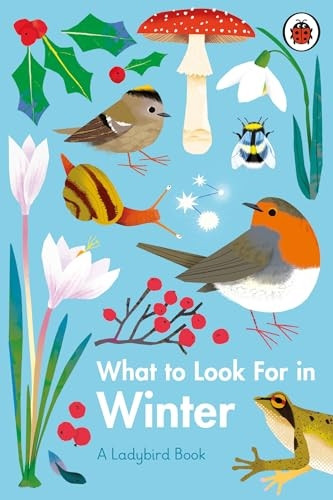 What to Look For in Winter (A Ladybird Book)