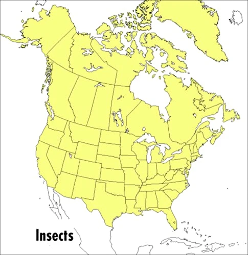 Field Guide to Insects (Peterson Field Guides)