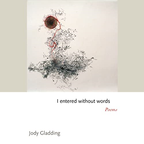 I entered without words: Poems (Princeton Series of Contemporary Poets)