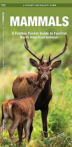 Mammals: An Introduction to Familiar North American Species