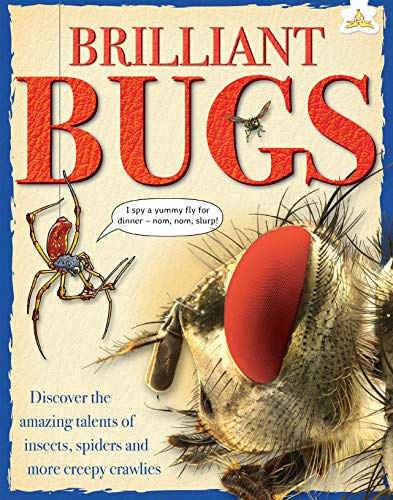 Brilliant Bugs: Discover the amazing talents of insects, spiders and more Creepy Crawlies