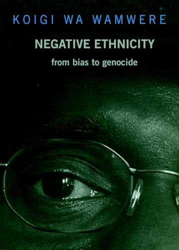 Negative Ethnicity: From Bias to Genocide (Open Media)