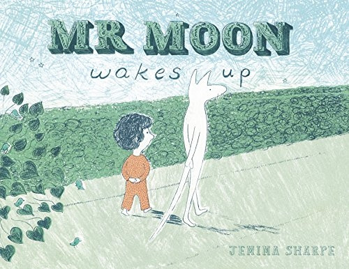 Mr Moon Wakes Up (Child's Play Library)