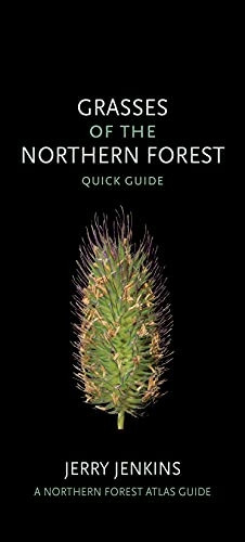 Grasses of the Northern Forest: Quick Guide (Northern Forest Atlas Guides The)