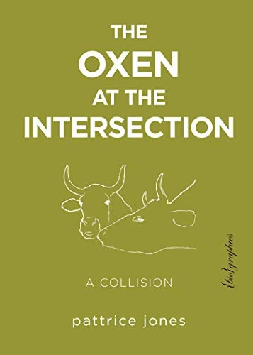 Oxen At The Intersection: A Collision