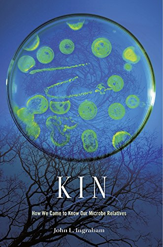 Kin