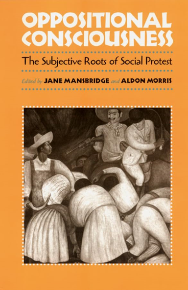 Oppositional Consciousness: The Subjective Roots Of Social Protest