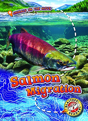 Salmon Migration (Animals on the Move)