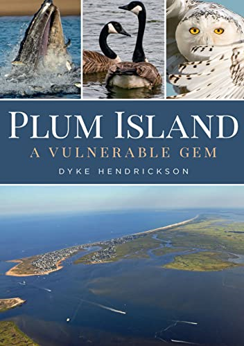 Plum Island: A Vulnerable Gem (America Through Time)