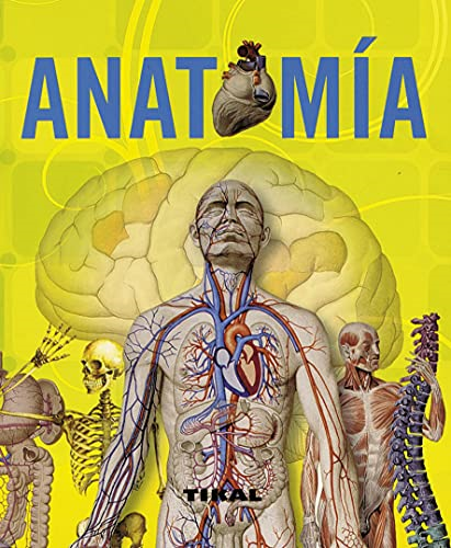 Rigutti, A: Anatomía