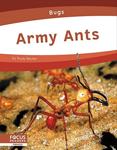 Bugs: Army Ants