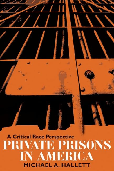Private Prisons in America: A Critical Race Perspective (Critical Perspectives in Criminology)