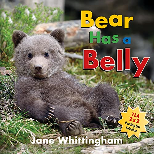 Bear Has a Belly (Big, Little Concepts) [Board book]