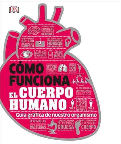 CMO FUNCIONA EL CUERPO HUMANO