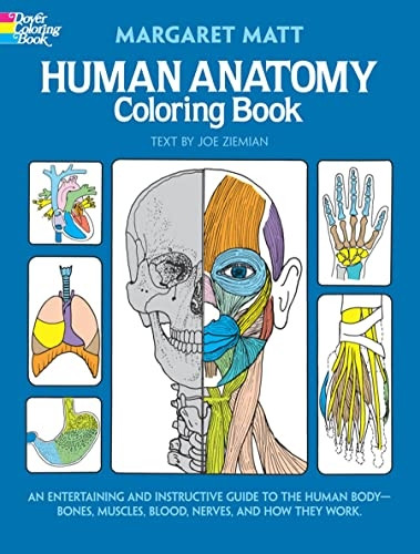 Human Anatomy Colouring Book