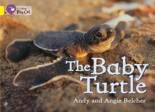 Collins Big Cat - The Baby Turtle: Band 03/Yellow