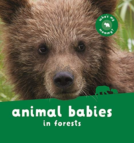 Animal Babies in Forests (Animal Babies) [Board book]