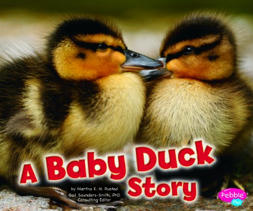 Baby Duck Story