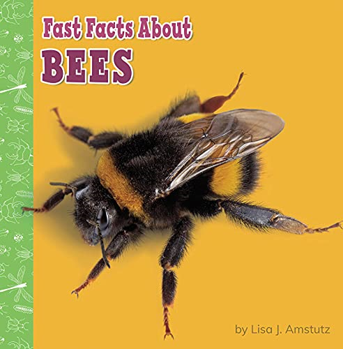 Fast Facts about Bees (Fast Facts about Bugs & Spiders)