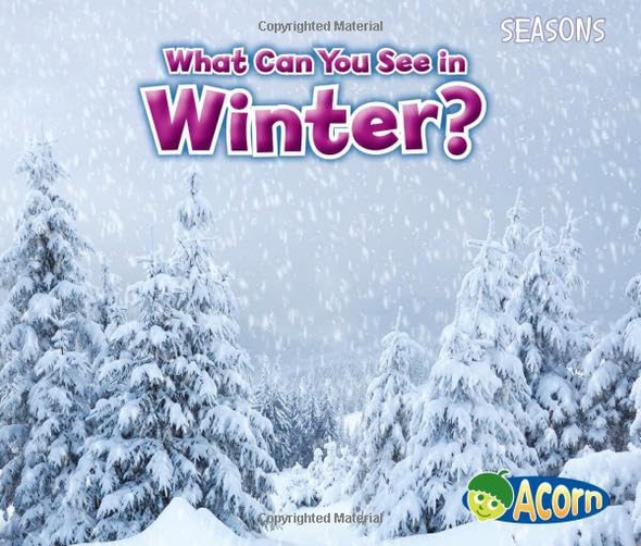 What Can You See in Winter? (Seasons (Heinemann))