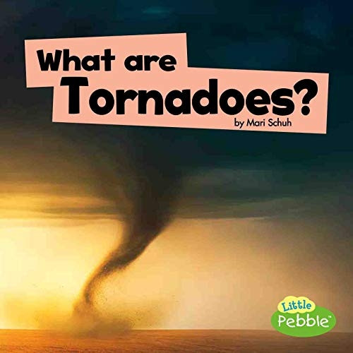 What Are Tornadoes? (Wicked Weather)