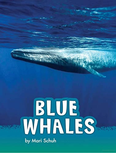 Blue Whales (Animals)