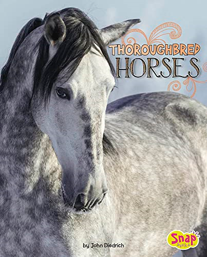 Clydesdale Horses (Horse Breeds)