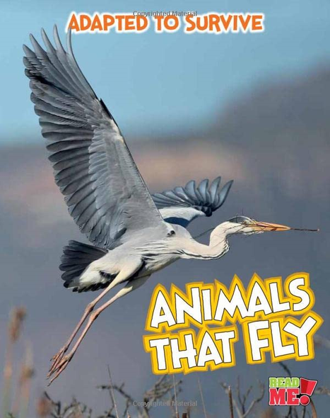 Animals That Fly (Adapted to Survive)
