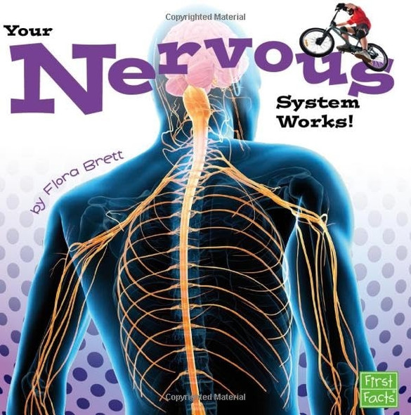 Your Nervous System Works! (Your Body Systems)