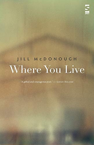 Where You Live (Salt Modern Poets)