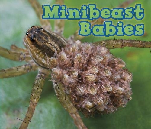 Minibeast Babies (Animal Babies)