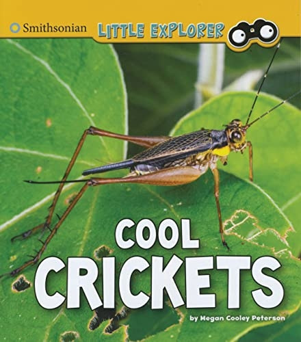 Cool Crickets (Little Entomologist 4D)